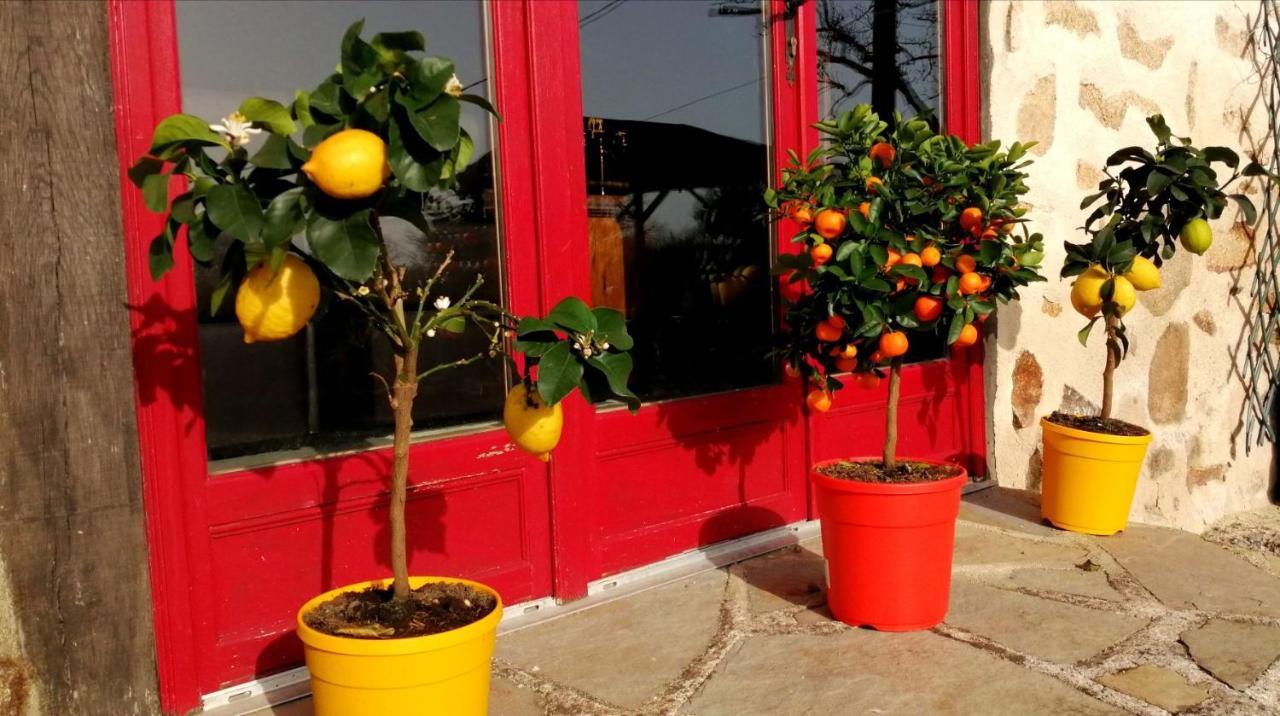 La Grange Ancienne Bed and Breakfast Montrollet Εξωτερικό φωτογραφία